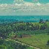 Отель Sipi Falls lodge, фото 47