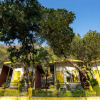 Отель The Hosteller Rishikesh Tapovan, фото 1