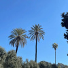 Отель Rm-h501-gpsc20e3 Colosseo Gardens - C5, фото 14