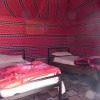 Отель Wadi Rum Info, фото 14