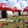 Отель Mushrooms Inn, фото 2