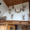 Отель Montanas Duck Lake Lodge, фото 24
