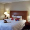 Отель Hilton Garden Inn Washington DC/Greenbelt, фото 7