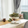 Отель Cedrus Suites, фото 14