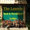 Отель The Laurels Bed & Breakfast Lodge в Ома
