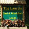 Отель The Laurels Bed & Breakfast Lodge, фото 14