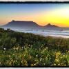 Отель Lazy Days Apartments - Cape Town, фото 12