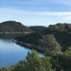 Отель Apartmani Dabelic Durica Mljet, фото 5