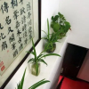 Отель Xitang Lijingyuan Inn, фото 13