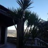 Отель Villa Manoé, фото 19