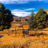 Отель Groenhoek Game and Guest Farms, фото 23