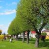 Отель Gosciniec Stary Rynek, фото 1