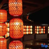 Отель Longyan Liancheng Tianyi Hotsprings Resort, фото 13