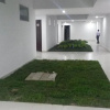 Отель Las Piedras San Jose, фото 9