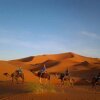 Отель Sahara Camels Camp в Мерзуге