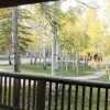 Отель Mt. Columbia Chalet at Creekside Chalets - 3 Br Cabin, фото 8