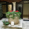 Отель Ca' Foscolo Residence, фото 1