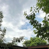 Отель Sapanca Lot5 Tiny House, фото 7