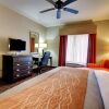 Отель Comfort Inn And Suites, фото 6
