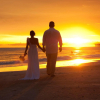 Отель DoubleTree Beach Resort by Hilton Tampa Bay - North Redingto, фото 27