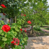 Отель Sunrise  Bungalow Çıralı, фото 20