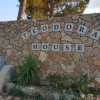 Отель Teodora House, фото 1
