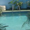 Отель Caribbean Tourist Villa Guest House, фото 16