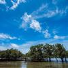 Отель Capricorn Beach Cottages, фото 17