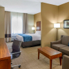 Отель Comfort Inn & Suites Lynchburg Airport - University Area, фото 6