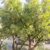 Отель Stylish 2Br Apartment in the Heart of Hamilton, фото 17