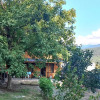 Отель Borjomi Hill, фото 4