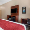Отель Comfort Inn & Suites, фото 28