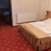 Отель Pensiunea Ayana, фото 6