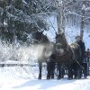 Отель Gasthof zur Post, фото 16