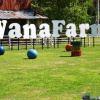 Отель Wana Horse And Ostrich Farm Tent, фото 3