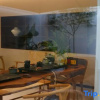 Отель Lanfan Tingshan B&B, фото 8