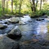 Отель Les Rives de l'Arzon, фото 20