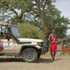 Отель Tipilikwani Mara Camp, фото 21