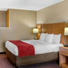 Отель Comfort Suites Hanes Mall, фото 40