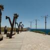 Отель El Mirador: sea views from the shore, фото 14