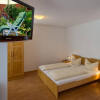Отель Pension Gabriela, фото 6