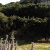 Отель Casa Vacanza Li Streghi, фото 4