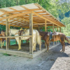 Отель Nantahala Village Cabin w/ Resort Amenities!, фото 15