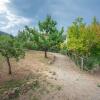 Отель Apartment in Chianti With Pool ID 453, фото 23