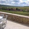 Отель Au Pied des Vignes, фото 10