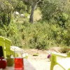 Отель Terra di sole, фото 11