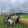 Отель Fairy Story Ecological Farm B&B, фото 13