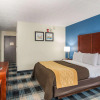 Отель Comfort Inn & Suites, фото 5