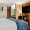 Отель Comfort Inn & Suites Diamondale – Lansing, фото 26