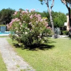 Отель Villaggio White Star 2, фото 15